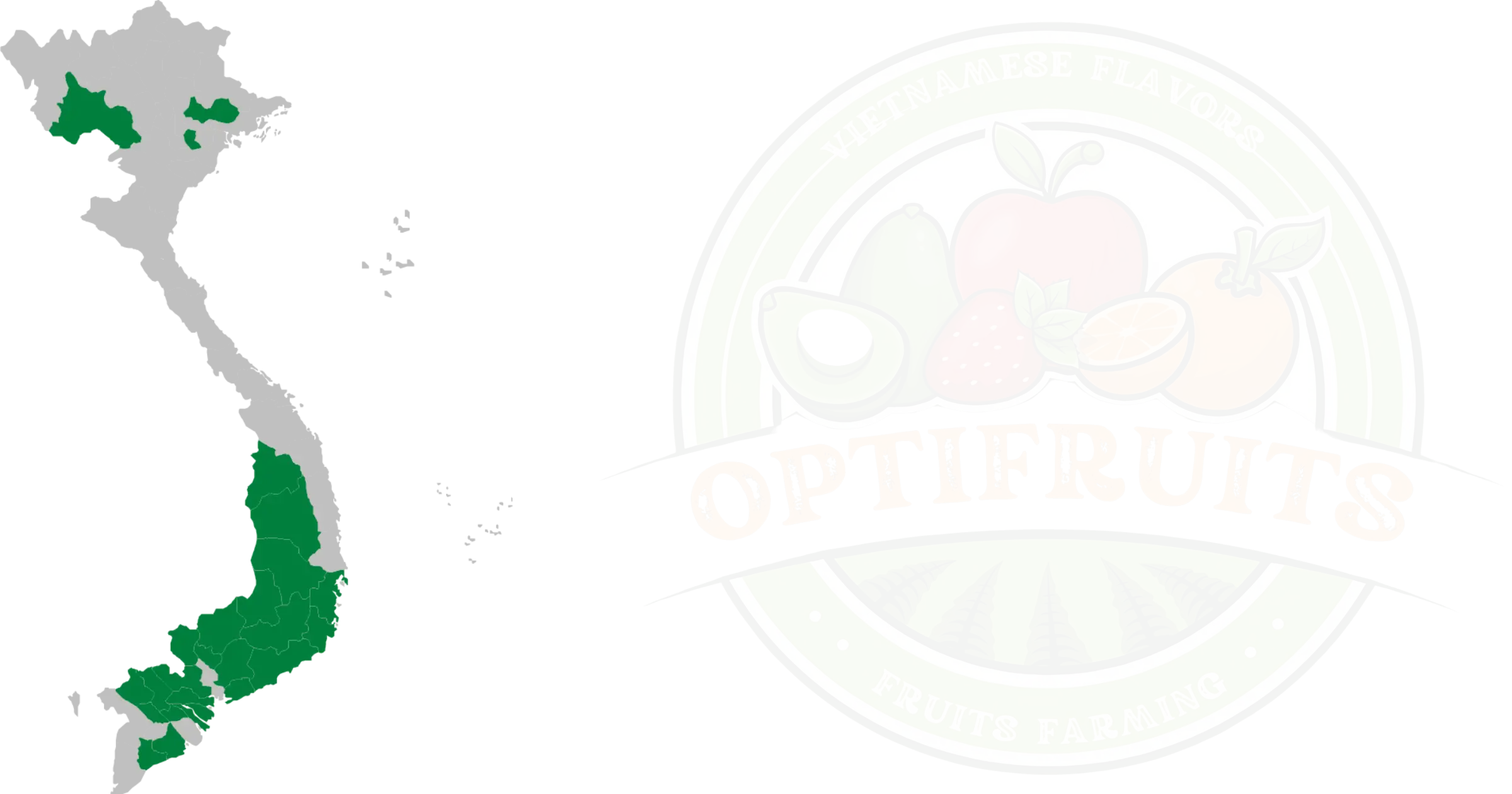 Fruits Optitrans Com Vn
